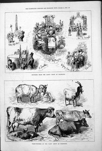 Old islington dairy show - old,
