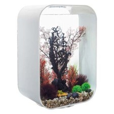 BiOrb LIFE 60 Aquarium Fish