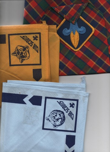 Scouting usa bsa - bsa, neckers