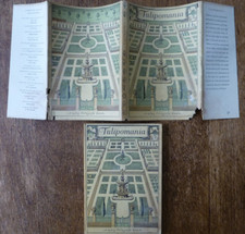 Tulipomania by W Blunt King