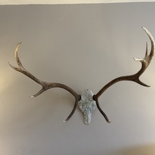 Deer Antler Sculpture Artwork With Swarovski Crystal Studding