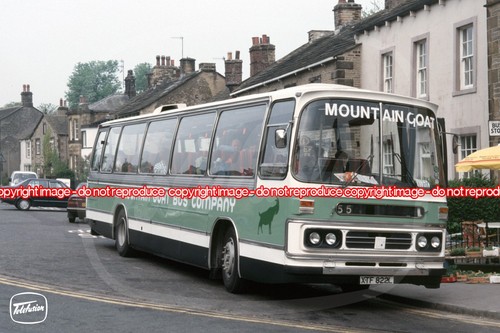 Bus photo mountain goat - photo,