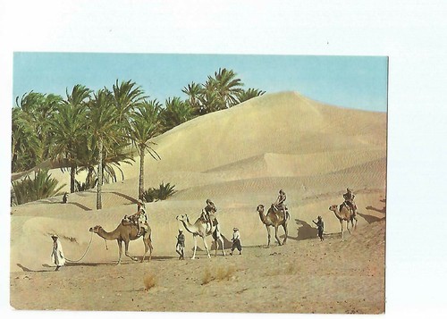 Tunisia sahara caravan - sahara,
