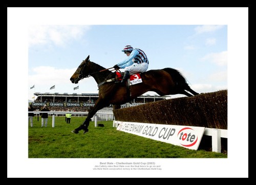 Best mate 2003 cheltenham gold - best,