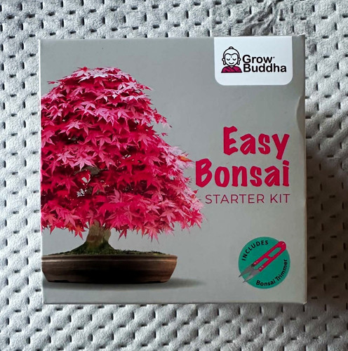 Grow buddha easy - buddha, bonsai