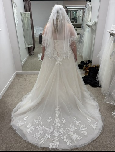 Blush wedding dress new - blush,