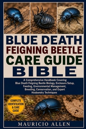 Blue death feigning beetle - blue,