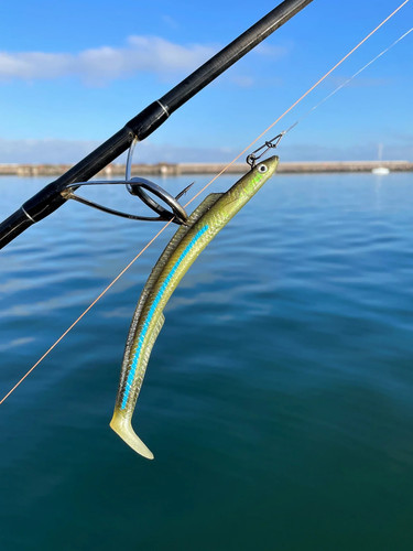 Sidewinder lures skerries eel - skerries,