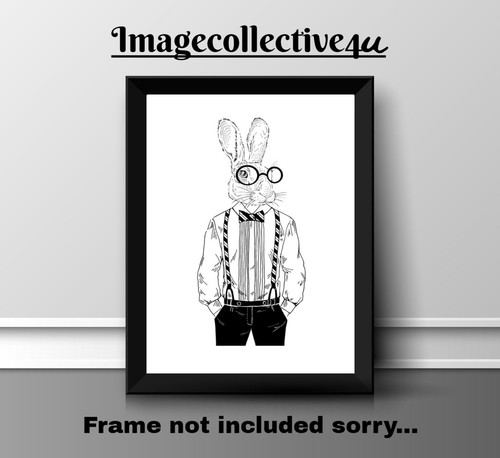 Rabbit animals pets a4 - animals,