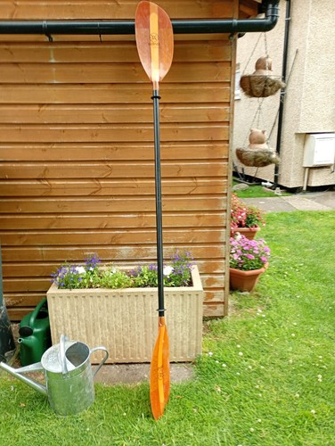Kayak paddle - kayak,
