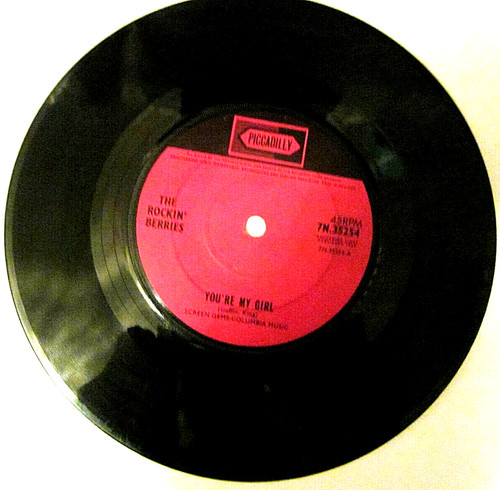 The rockin berries - rockin',