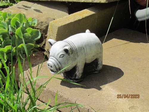 Pig - garden, ornament)
