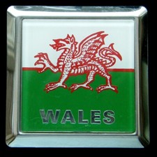 Wales Car Badge (1231)
