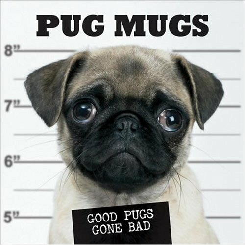 Pug mugs good pugs gone - good, bad
