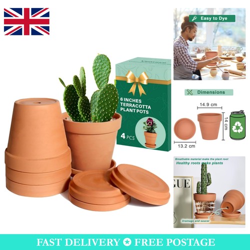 Versatile terracotta planter - terracotta,