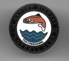 NEWTON STEWART FC SCOTTISH NON LEAGUE ENAMEL  BADGE   VERY GOOD CONDITION