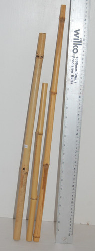 Bamboo poles reptiles - poles,, reptiles,