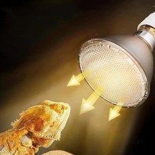 25/50/75/100W LED Reptile Lamp