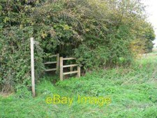 Photo 6x4 Duck And Dodge To Enter Primrose Green The start of a Public Fo c2006