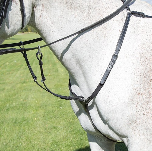 Shires avignon breastplate - shires,