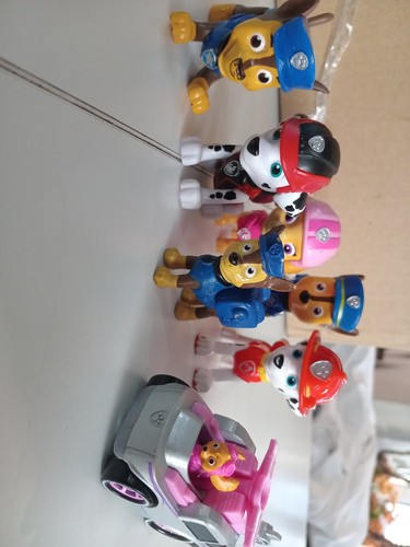 Paw patrol assortment 7 - paw,