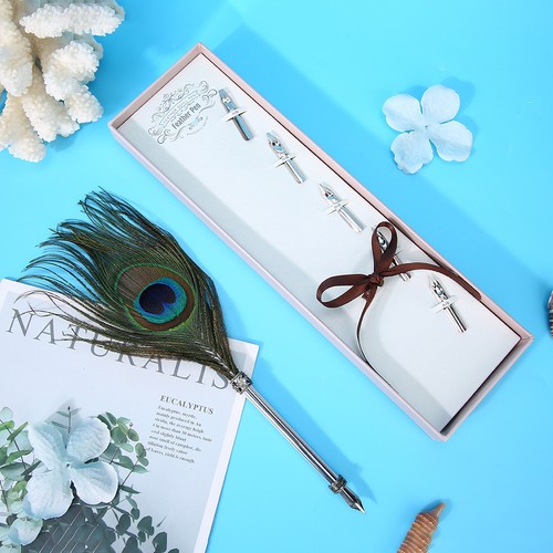 Quill feather pen vintage - (1),