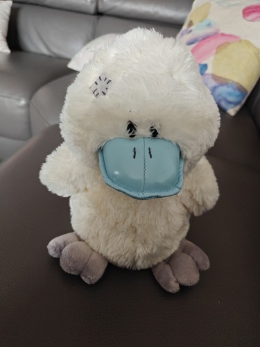 Blue nose friends medium - blue,