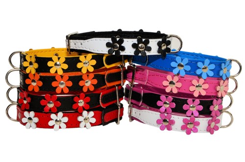 Real soft leather dog - soft,