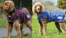 WeatherBeeta ComFiTec