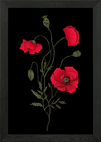Red poppy flowers framed wall - red,