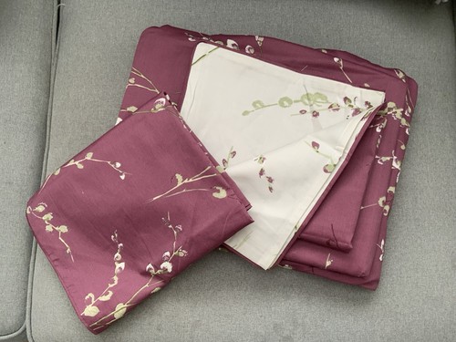 Laura ashley pussy - laura,