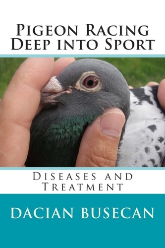 Busecan pigeon racing deep - pigeon,