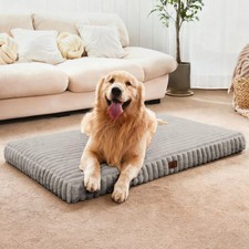 Cozila Medium Orthopedic Dog