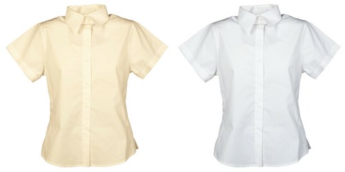 Dublin show shirt - show, stock