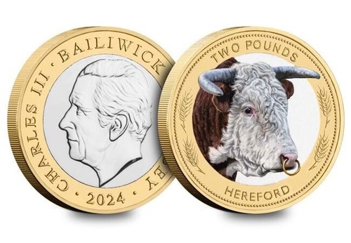 Jersey pound coin - 2,
