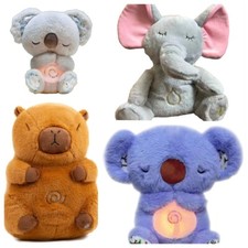 UK-Cute Koala Breathing