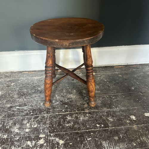 Fantastic victorian elm - fantastic,