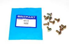 Britpart Screws (x10) - Land