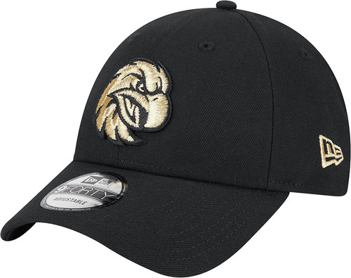 Manly sea eagles 2025 nrl - eagles, new