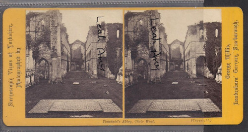 Original stereoview - stereoview, of