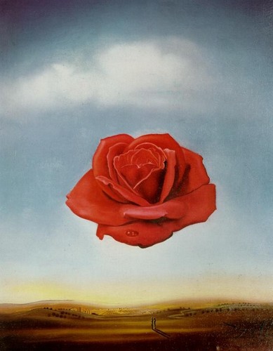 Salvador dali meditative rose - dali,