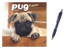 Pug Puppies Mini Calendar 2026