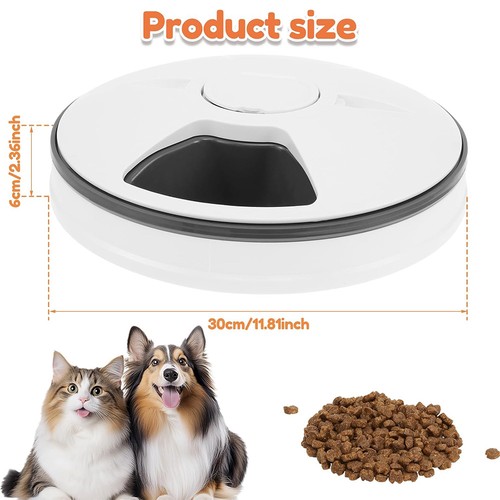 Automatic cat wet food - wet, feeder