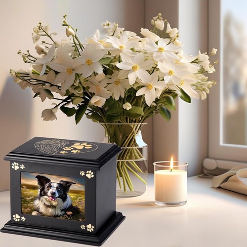 Pet ashes box urns - urns, dog