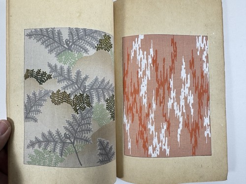 Japanese woodblock print book - japanese,