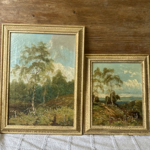 Early 20th century oil - 20th,