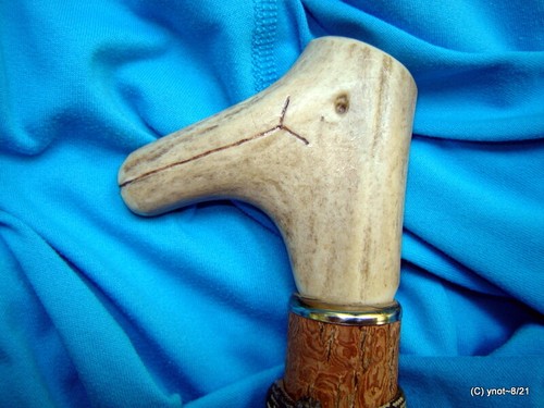 Natural sassafras etched - sassafras,