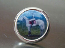DESERT ORCHID HORSE RACING TIE LAPEL SUIT PIN NEW