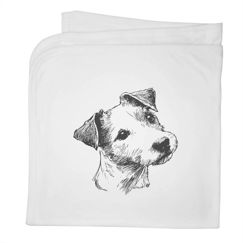 Jack russell terrier baby - russell, terrier'