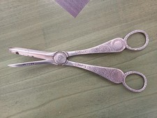 Grape scissors shears - grape, scissors,